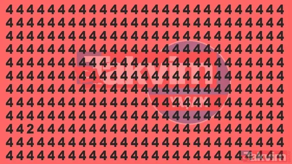 4 rakamıyla dolu fotoğrafta 2'yi bulabilir misin? Ve süre başladı! Bu pazar bulmacasını insanların yalnızca %8'i 10 saniye altında çözebilir! - 1