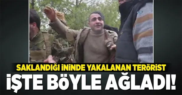 Saklandığı ininde yakalanan terörist işte böyle ağladı
