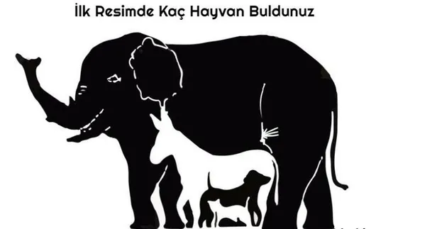 resimdeki-16-hayvani-15-saniyede-bulabilir-misiniz-bu-testi-yalnizca-1000-kisiden-1i-dogru-yanitliyor-1697429517586.jpg
