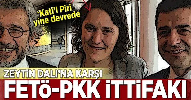 Zeytin Dalı Harekatı'na karşı BATI-FETÖ-PKK ittifakı