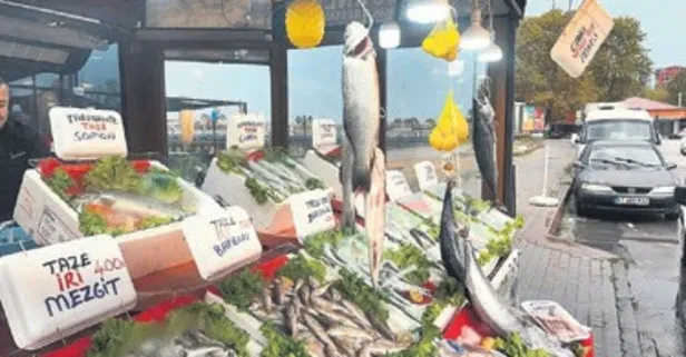 Karadeniz'de av sezonu başladı! Balıkçılar hamsileri bekliyor