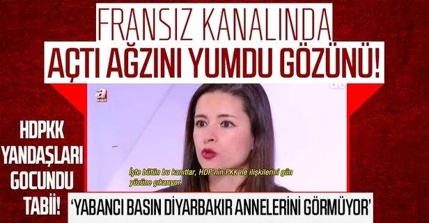 Öznur Sinere Fransız televizyonunda HDPKK gerçeğini anlattı! PKK ile HDP’nin kanıtlanmış bağlantıları var