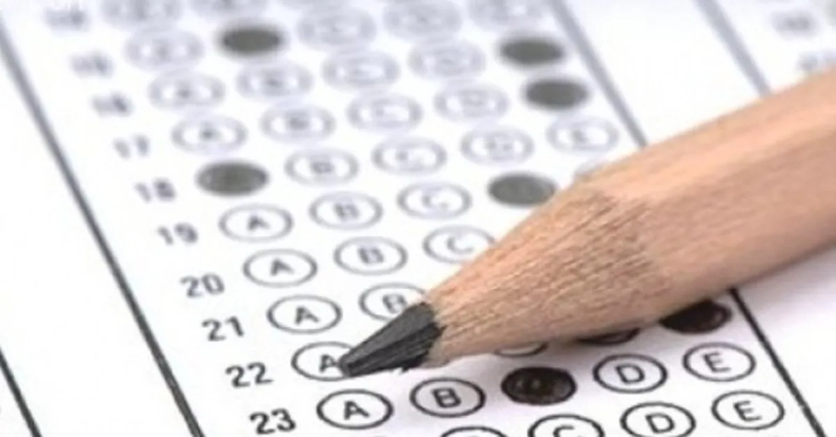 2019 pybs 5 6 7 8 sinif sorulari