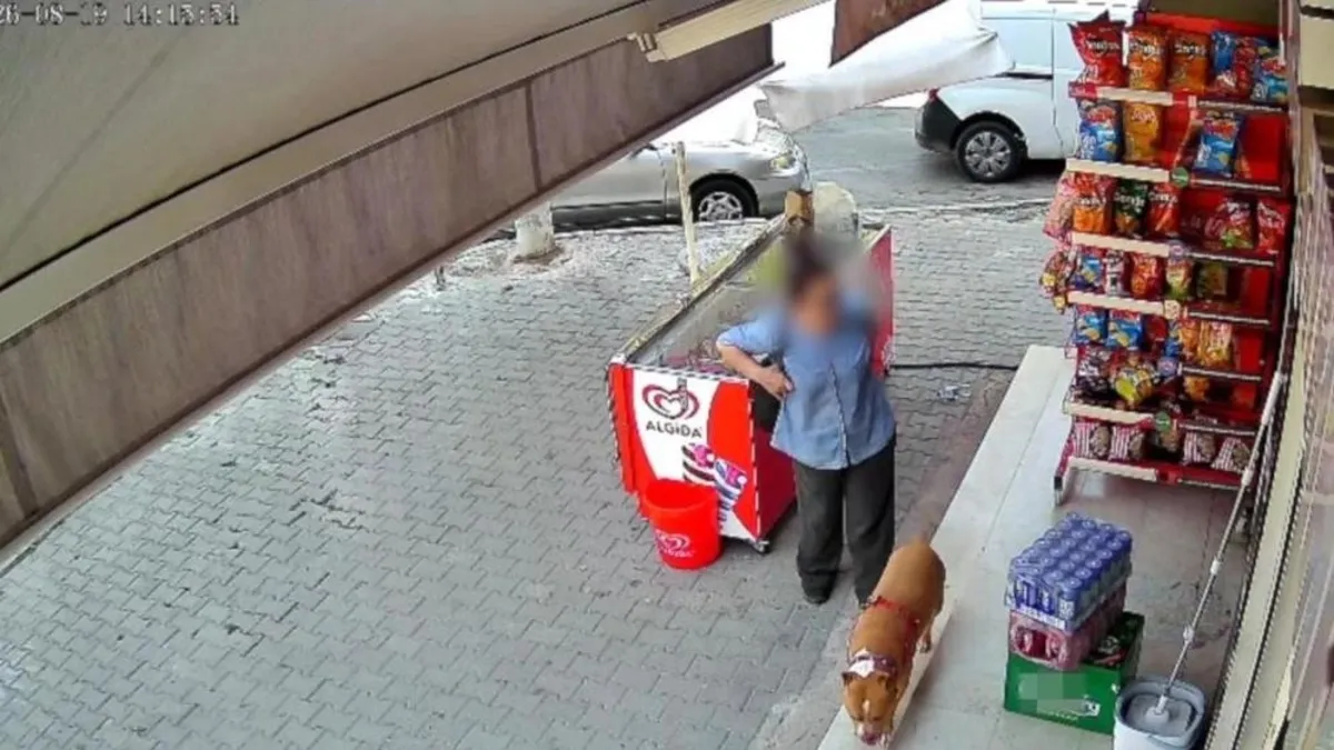 Karşıyaka'da talihsiz kadın pitbull saldırısına uğradı: Parmağı koptu