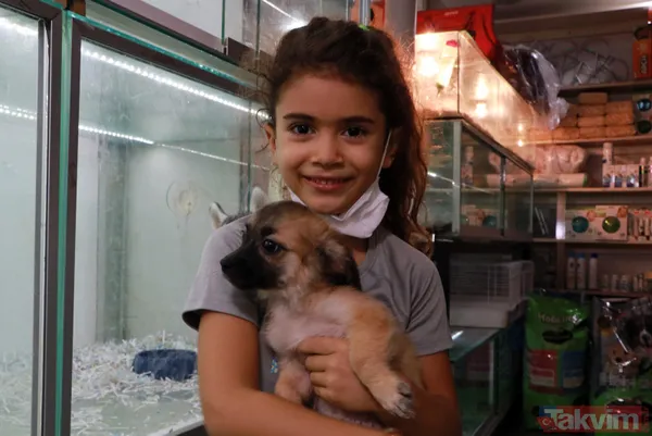 Satışı yasak olan hayvanları internetten satıyorlar - 11