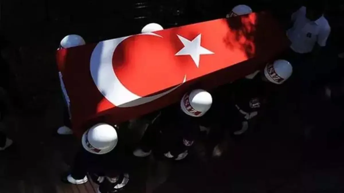 MSB duyurdu: Yıldırım düşmesi sonucu yaralanan asker şehit oldu