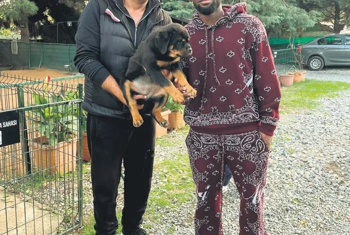 Rottweiler sürprizi!