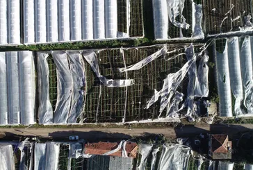 Antalya felaketi yaşadı! Sağanak ve hortum bin dönüm serayı yerle bir etti 6 kişi yaralandı