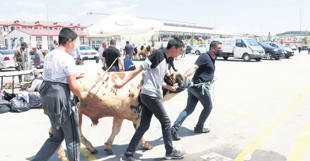 Kurban coşkusu!
