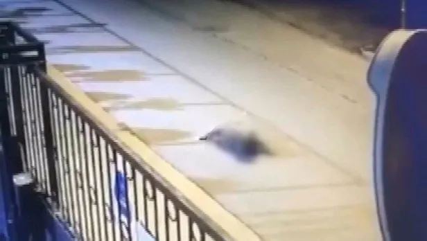 yok-boyle-canilik-kamyonetle-kopegi-ezen-surucu-arkasina-bakmadan-yoluna-devam-etti-1632776105173.jpeg Yok böyle canilik! Kamyonetle köpeği ezen sürücü arkasına bakmadan yoluna devam etti-4