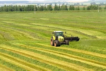 Tarım ve ormana yönelik düzenlemeler Resmi Gazete’de! Karbon yutak ormanları kurulacak şeker pancarı fiyatları mutabakatla belirlenecek