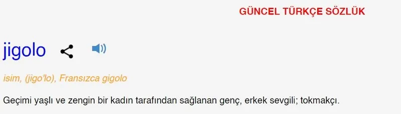 jigolo-ne-demek-jigolo-kelimesi-tdk-sozluk-anlami-nedir-1714662214561.jpg