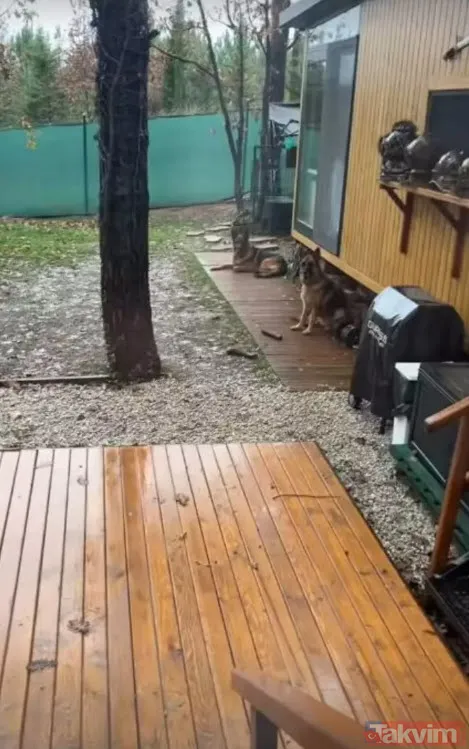 8 yıllık eşi Ceyda Düvenci'den boşanan Bülent Şakrak'tan radikal karar! Tası tarağı topladı yeni evinde kendine yeni bir hayat kurdu - 9