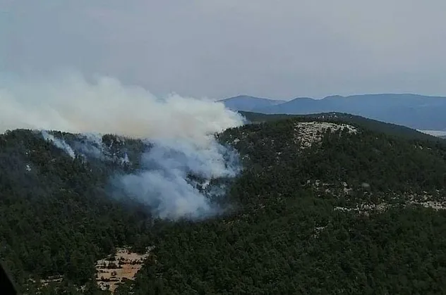 Son dakika: Muğla Milas'ta orman yangını! Havadan ve karadan müdahale edildi