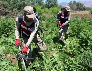 Diyarbakır’da dev narko terör operasyonu