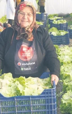 Akıllı köy model oluyor