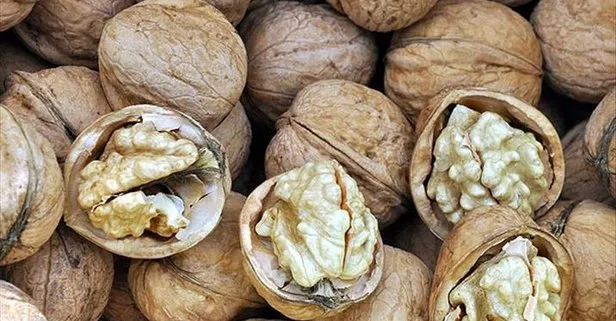 Aklin Yolu Ceviz Cevizin Faydalari Nelerdir Takvim