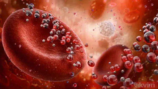 "Çalışmamız, Beslenmenin Yalnızca Uzun Vadeli Sağlığımızı Şekillendirmediğini, Aynı Zamanda Vücudumuzu Ve Beynimizi De Gerçek Zamanlı Olarak Etkilediğini...