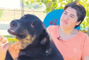 ’Dog’ böyle vurgun