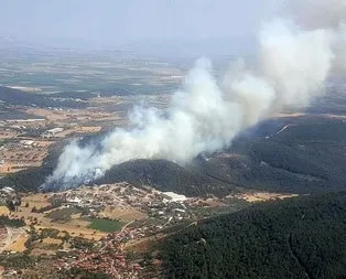 İzmir’de ormanlık alanda yangın