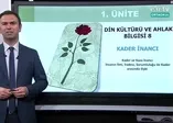 8. Sınıf Din Kültürü Ve Ahlak Bilgisi Dersi - Konu: Kader İnancı - (1 Nisan 2020 Çarşamba)