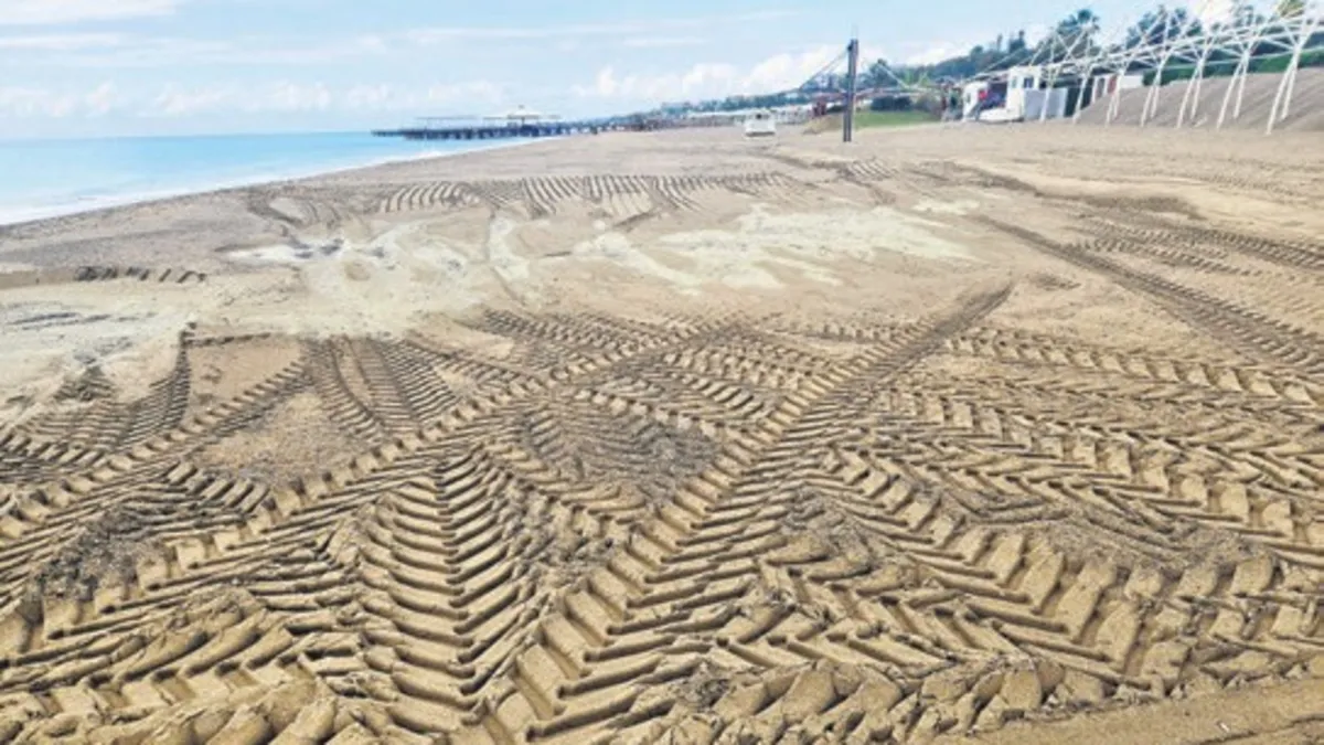 Caretta yuvaları ezildi: 'Kaybolabilirlerdi'