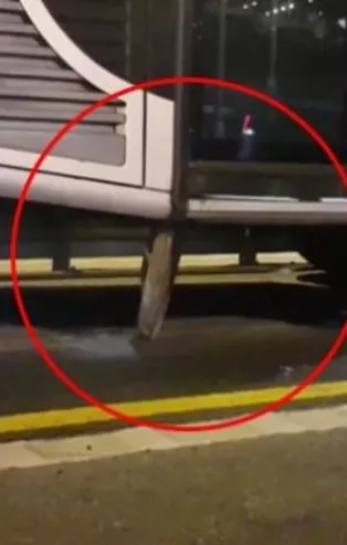 Son dakika: Avcılar'da akılalmaz kaza!  Rögar kapağı metrobüse saplandı: 1 yaralı