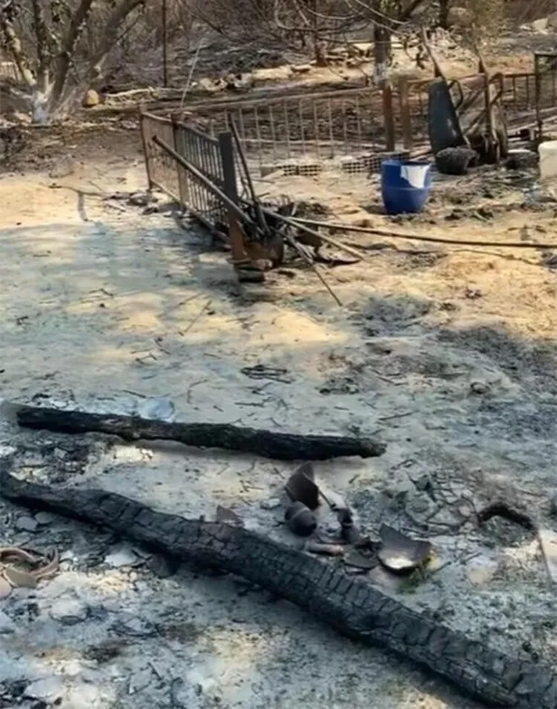 Manavgat yangını sonrası 'felç geçirdim' diyip açılışa katılan Tuğba Özay deliye döndü 'Daha fazla acı çekmemi istediniz!'-6