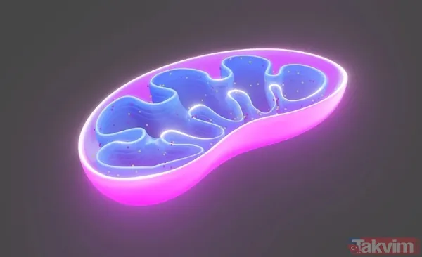 Yaşlılıktan sandığı belirtiler kanser çıktı: Alex Kingston’ın büyük pişmanlığı - 7