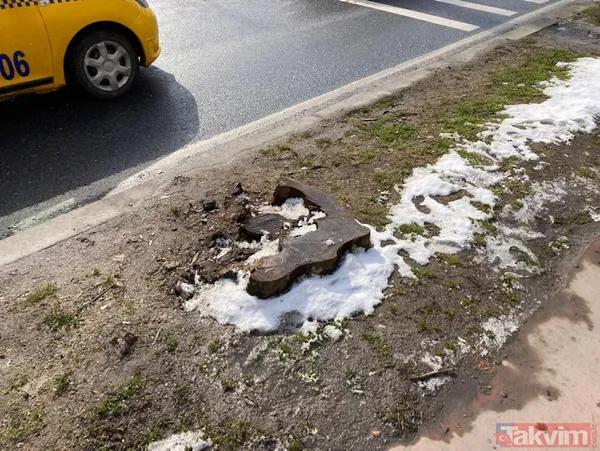 Gezici tayfa ve sözde çevrecilerin ikiyüzlülüğü! CHP'li İBB'nin ağaç katliamı karşısında dilini yuttular: Tepkiler çığ gibi - 16