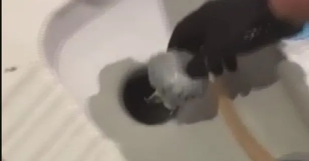 Tuvaletin deliğine uyuşturucu attılar! İzmir’de uyuşturucu operasyonunda tuvaletten zehir çıktı