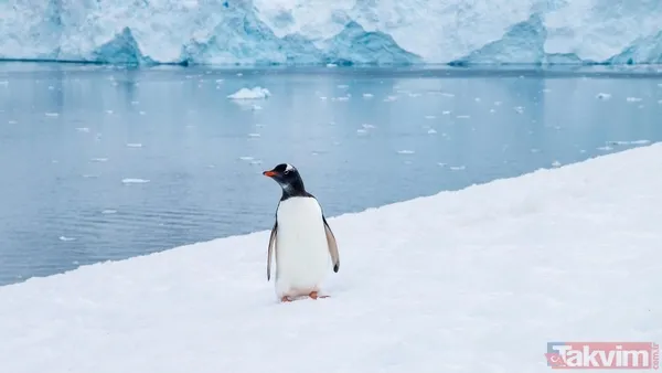 Zaman anlamını yitiriyor! Dünyada güneşin asla batmadığı 9 yer - 10