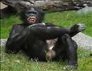 Tık Rekoru Kıran Kareler - 5