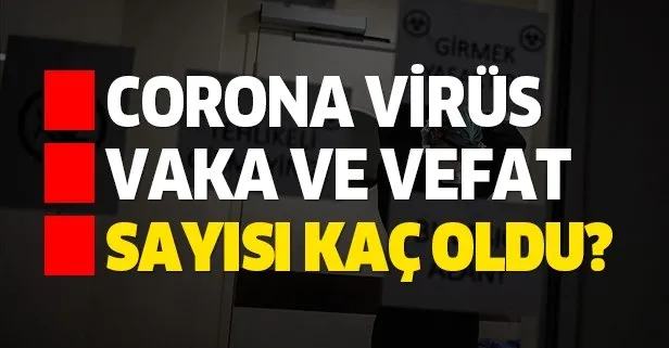 Koronavirüs vaka, ölüm ve iyileşen sayısı kaç oldu?