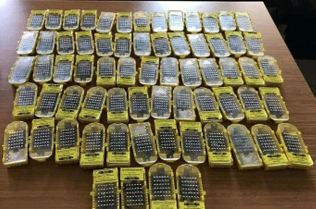 Sabiha Gökçen Havalimanı'nda bal arısı operasyonu