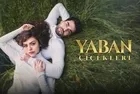 Yaban Çiçekleri geliyor