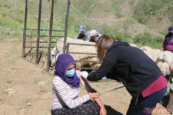 Tunceli'de sürü sahipleri 2 bin 500 metre rakımlı yaylada aşılandı - 19