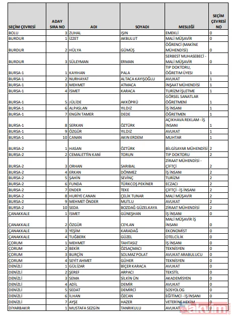 CHP'nin milletvekili listesinde yok yok! PKK sempatizanı, LGBT savunucusu, FETÖ'cü... İşte CHP'nin milletvekili listesi - 18