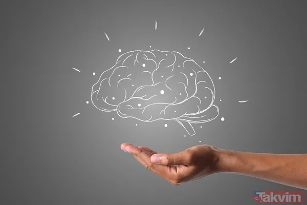 Çocuğunuzda Gizli Disleksi Olabilir Mi? 5 Dakikalık Testle Öğrenme Güçlüğünü Erken Tespit Edin - 6