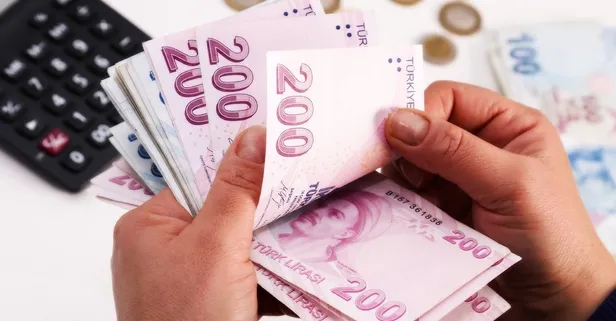 Devlet işi olmayanı maaşa bağlıyor! 9.924 TL maaş almanın formülü belli oldu