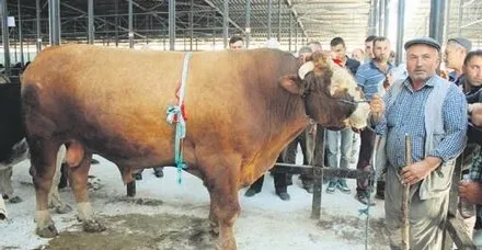 Araba fiyatına paşa!