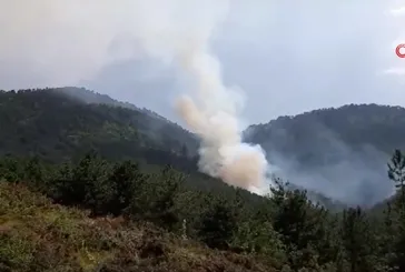 Bolu'da orman yangını!