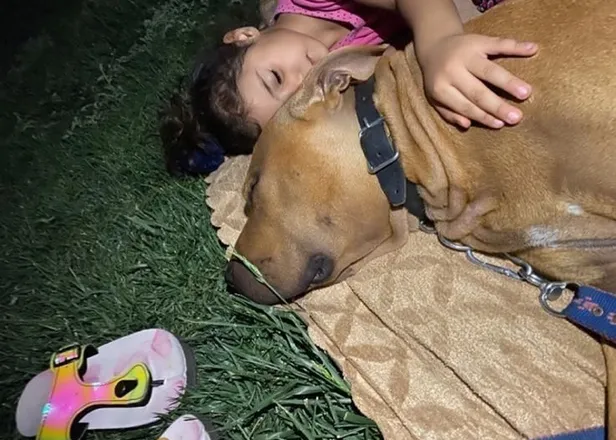 Pitbull saldırısında yüzü parçalanmıştı! Asiye yeniden bıçak altına yatacak: Küçük bir ameliyat olmayacak-2