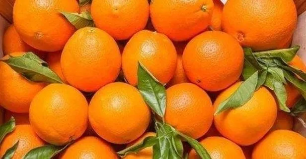 Kansızlığa portakal