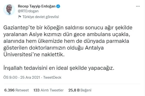 baskan-recep-tayyip-erdogandan-belediyelere-sahipsiz-hayvan-cagrisi-adimlari-suratle-atin-1640463926835.jpeg Başkan Recep Tayyip Erdoğan'dan belediyelere 'sahipsiz hayvan' çağrısı: Adımları süratle atın-2