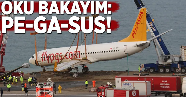 Oku bakayım PEGASUS!