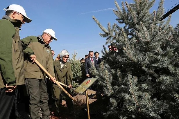 81 ilde 250 milyondan fazla fidan toprakla buluşacak! Başkan Erdoğan da katılıyor-2
