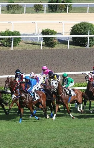 Gazi Koşusu 30 Ağustos’ta