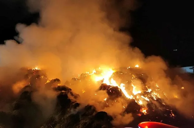 Muğla'da tarım ve hayvancılık tesisinde çıkan yangın sonucu tonlarca yem ve saman kül oldu