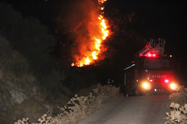 Bodrum'da makilik alanda korkutan yangın-3